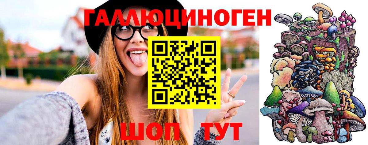 где можно купить наркотик  Галлюциногенные грибы Psilocybine cubensis  Вход с VPN  Солнечногорск 