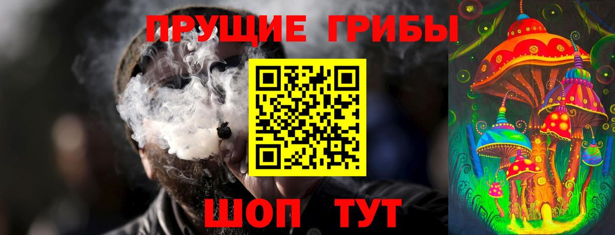 Галлюциногенные грибы Psilocybine cubensis Солнечногорск